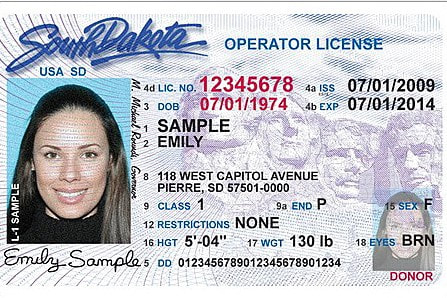 Renew a Driver's License